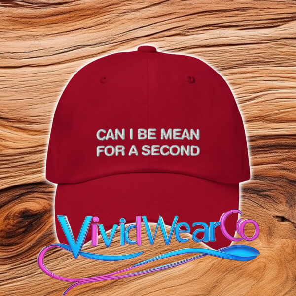 Can I Be Mean For A Second Dad Hat